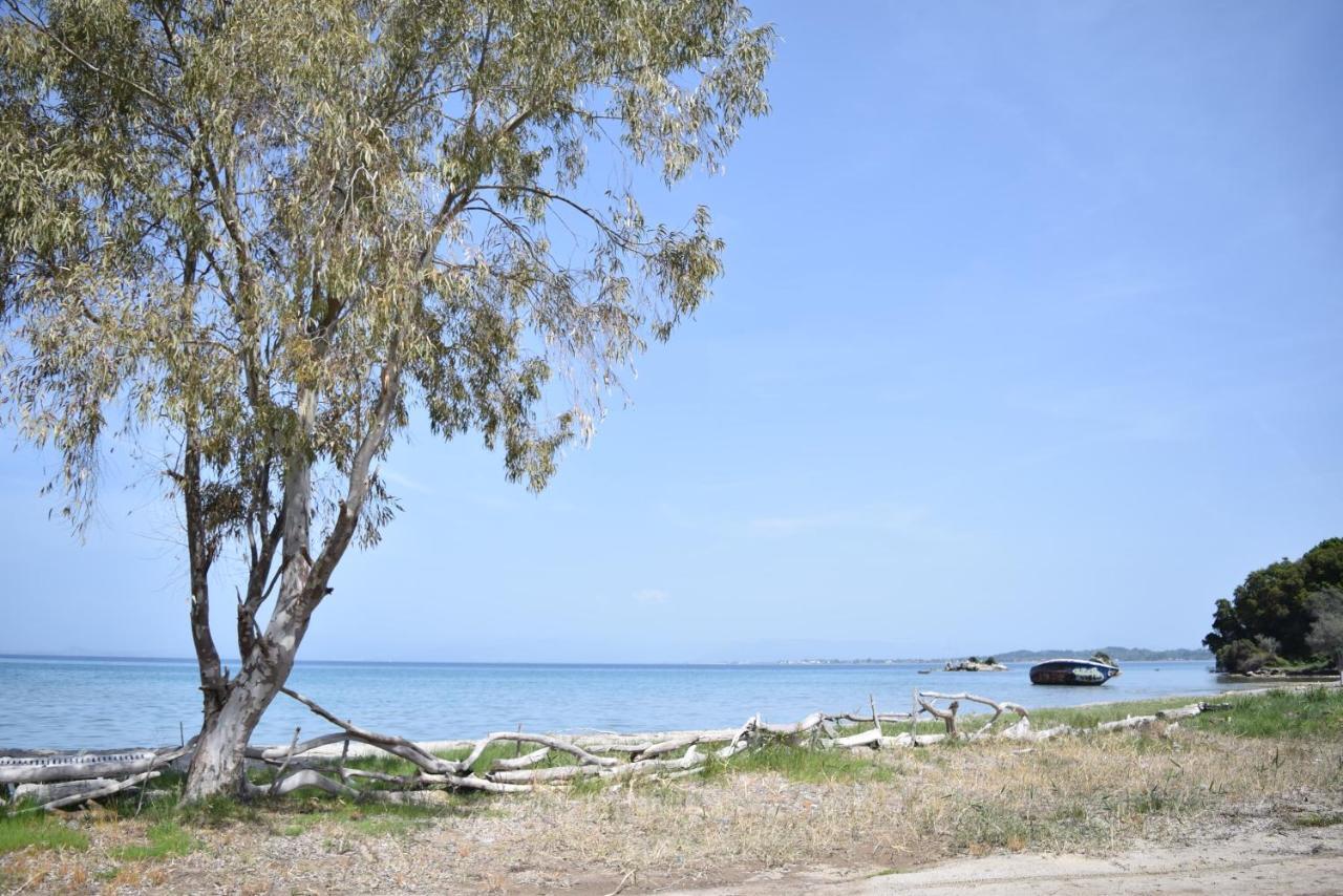 Corfu Seaview Maisonette - Sopra Il Mare Petrití Kültér fotó
